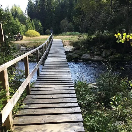 - Stela Premium * Stozec